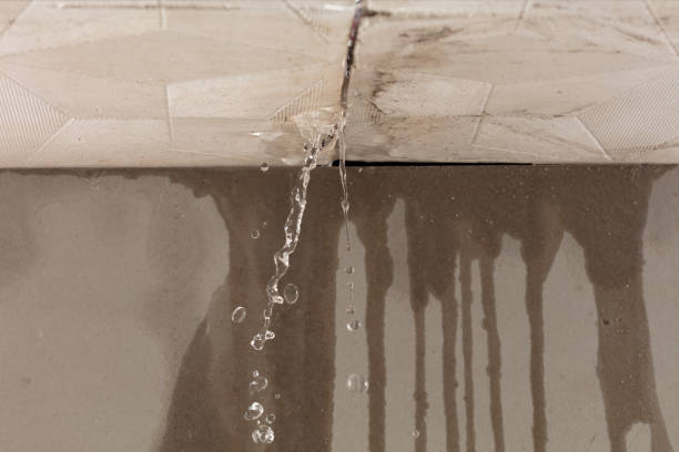 Professional Structural Drying technician working in Temple, NH